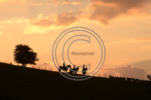 SouthDorset_Autumn_Hunting_20PN_107179