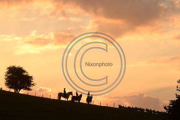 SouthDorset_Autumn_Hunting_20PN_107180