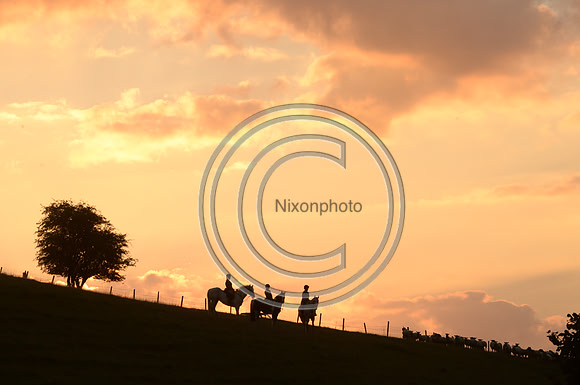 SouthDorset_Autumn_Hunting_20PN_107181