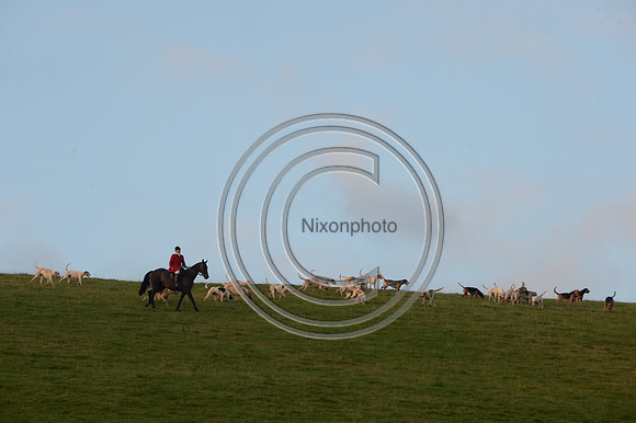 SouthDorset_Autumn_Hunting_20PN_107185