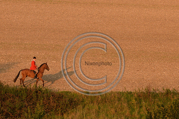SouthDorset_Autumn_Hunting_20PN_107189