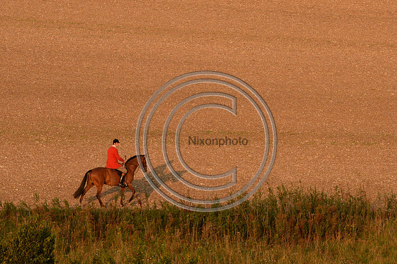 SouthDorset_Autumn_Hunting_20PN_107190