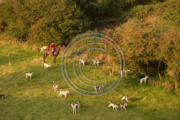 SouthDorset_Autumn_Hunting_20PN_107191