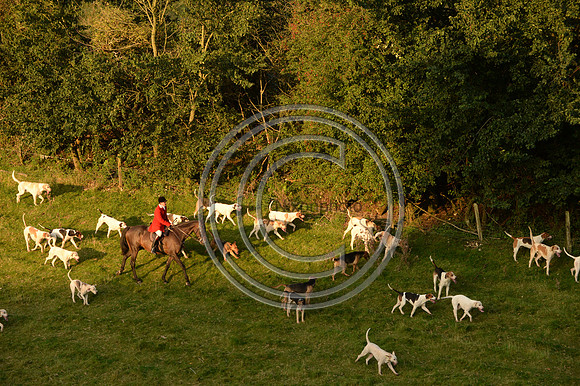 SouthDorset_Autumn_Hunting_20PN_107194