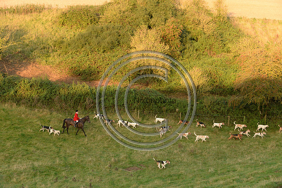 SouthDorset_Autumn_Hunting_20PN_107195