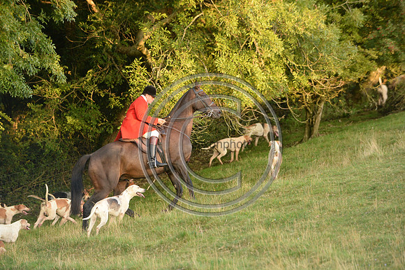 SouthDorset_Autumn_Hunting_20PN_107196