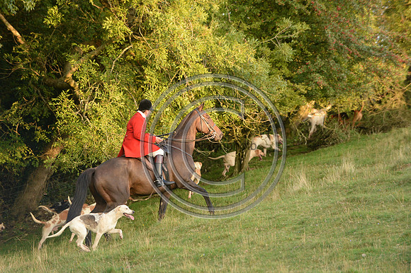 SouthDorset_Autumn_Hunting_20PN_107197