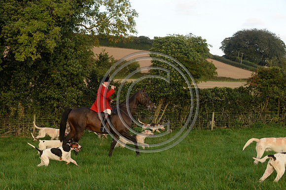 SouthDorset_Autumn_Hunting_20PN_107200