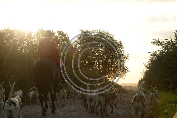 SouthDorset_Autumn_Hunting_20PN_107204