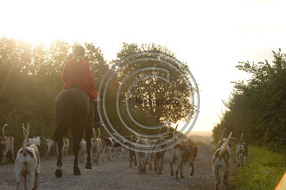 SouthDorset_Autumn_Hunting_20PN_107205