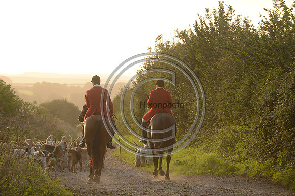 SouthDorset_Autumn_Hunting_20PN_107206