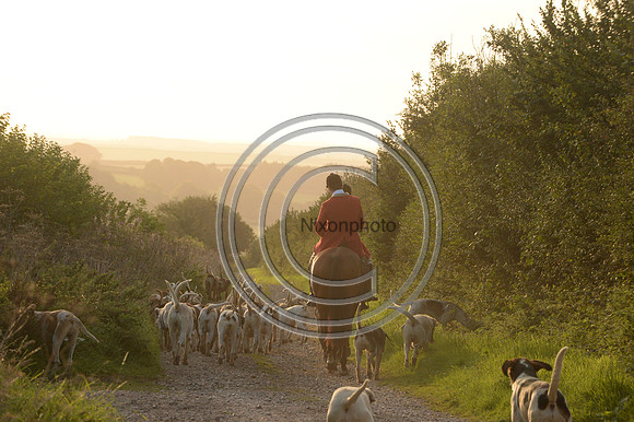 SouthDorset_Autumn_Hunting_20PN_107207