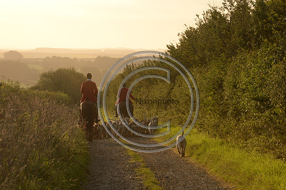 SouthDorset_Autumn_Hunting_20PN_107208