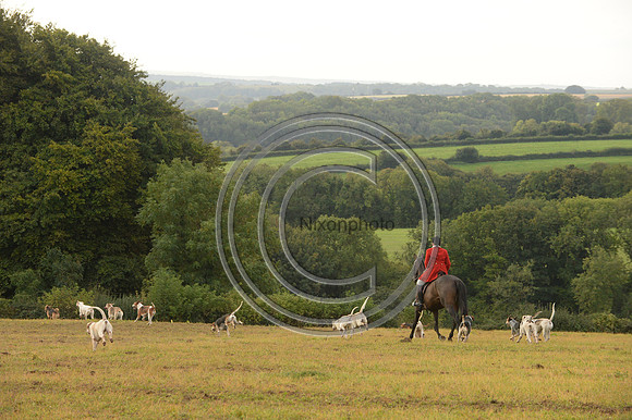 SouthDorset_Autumn_Hunting_20PN_107215