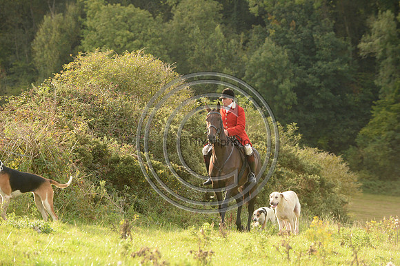 SouthDorset_Autumn_Hunting_20PN_107221