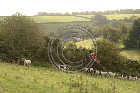 SouthDorset_Autumn_Hunting_20PN_107228