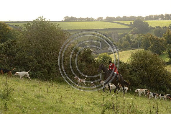 SouthDorset_Autumn_Hunting_20PN_107229