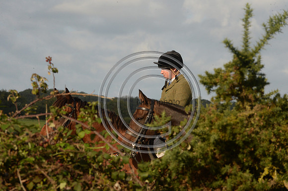 SouthDorset_Autumn_Hunting_20PN_107231