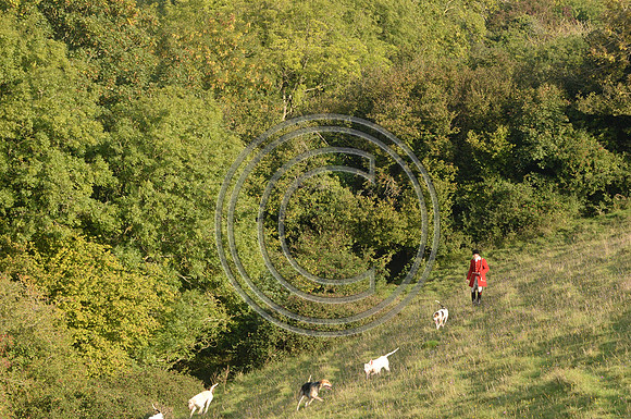 SouthDorset_Autumn_Hunting_20PN_107235