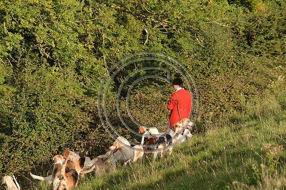 SouthDorset_Autumn_Hunting_20PN_107237