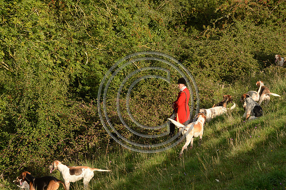 SouthDorset_Autumn_Hunting_20PN_107238