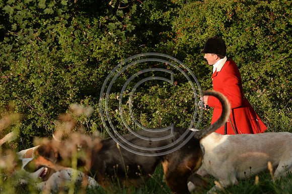 SouthDorset_Autumn_Hunting_20PN_107239
