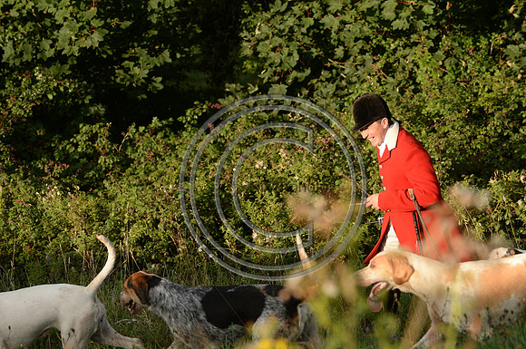 SouthDorset_Autumn_Hunting_20PN_107240
