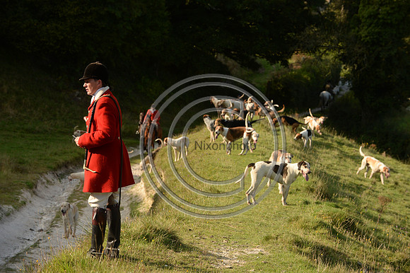 SouthDorset_Autumn_Hunting_20PN_107243