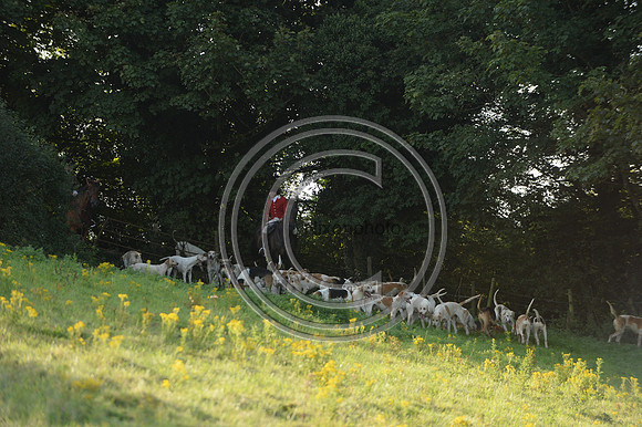 SouthDorset_Autumn_Hunting_20PN_107248