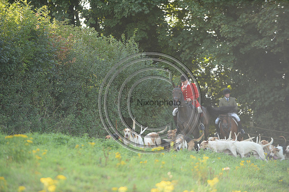 SouthDorset_Autumn_Hunting_20PN_107249