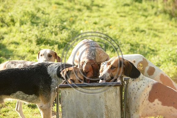 SouthDorset_Autumn_Hunting_20PN_107252
