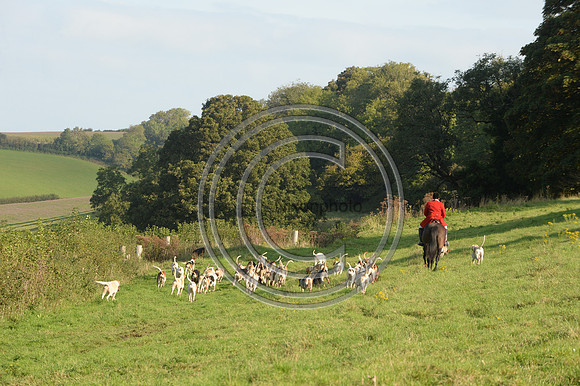 SouthDorset_Autumn_Hunting_20PN_107256