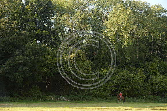 SouthDorset_Autumn_Hunting_20PN_107258