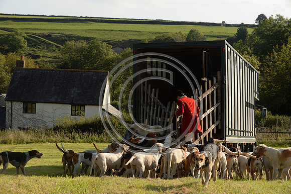 SouthDorset_Autumn_Hunting_20PN_107259
