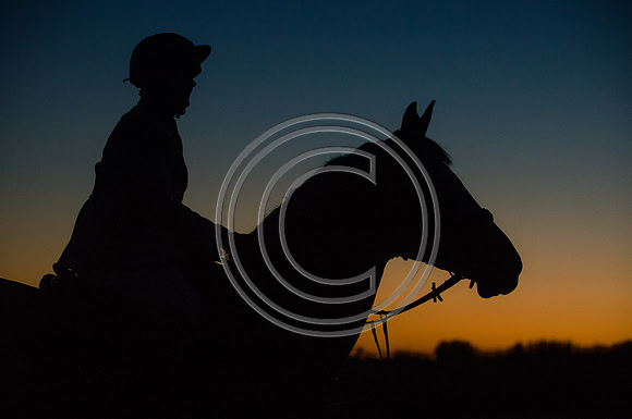 SouthDorset_Autumn_Hunting_20PN_107161