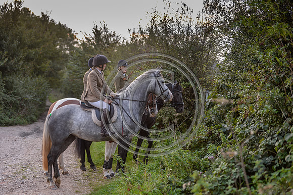 SouthDorset_Autumn_Hunting_20PN_107169