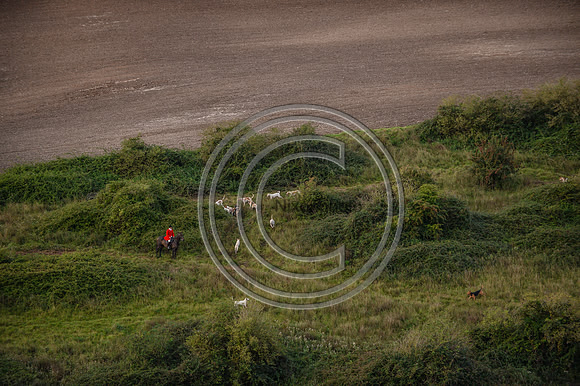 SouthDorset_Autumn_Hunting_20PN_107171