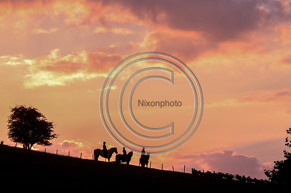 SouthDorset_Autumn_Hunting_20PN_107180
