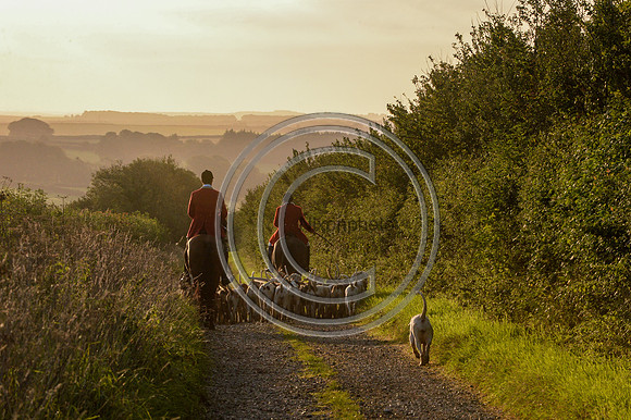 SouthDorset_Autumn_Hunting_20PN_107208