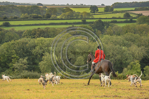 SouthDorset_Autumn_Hunting_20PN_107214