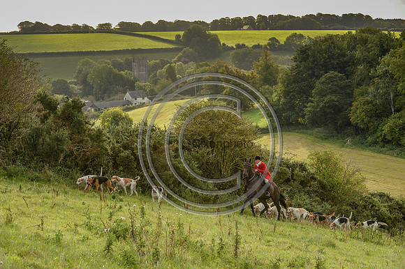 SouthDorset_Autumn_Hunting_20PN_107227