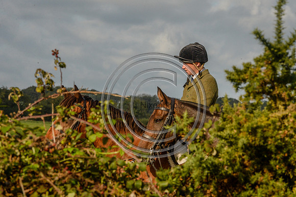SouthDorset_Autumn_Hunting_20PN_107231
