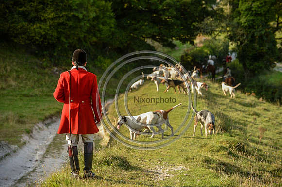 SouthDorset_Autumn_Hunting_20PN_107241