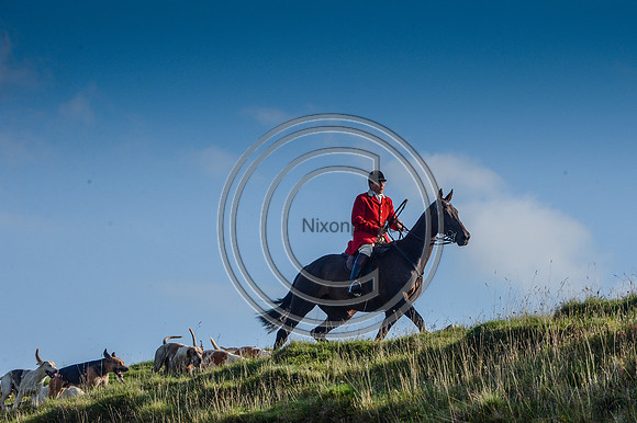 SouthDorset_Autumn_Hunting_20PN_107245