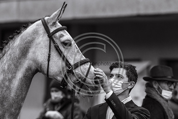 Cathal DANIELS_ LEB EMPRESS_Le Lion_20PN_109679