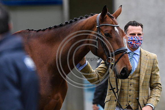 Alexander BRAGG_ ARDEO PREMIER_Le Lion_20PN_109821