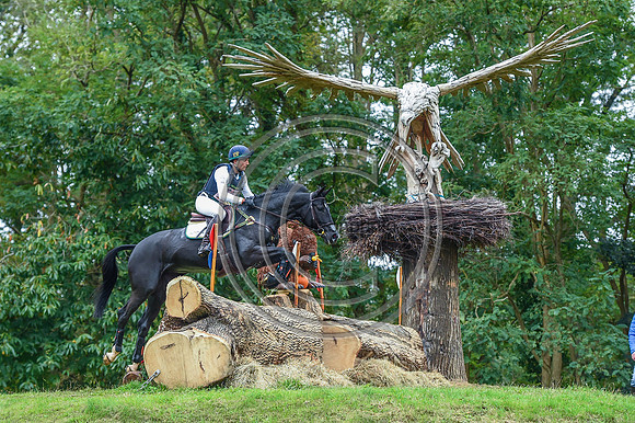 Albert HERMOSO FARRAS_KEENABOUT WONDERLAND Z_LeLion_20PN_113212