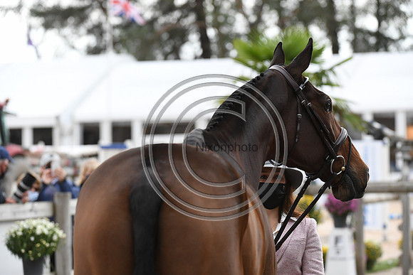 Laura COLLETT_LONDON 52_CCI5*_20PN_120472