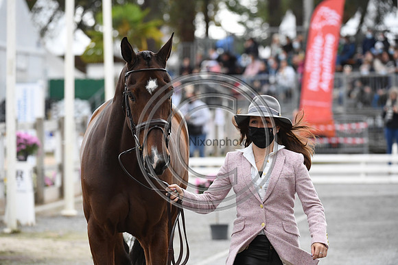 Laura COLLETT_LONDON 52_CCI5*_20PN_120477