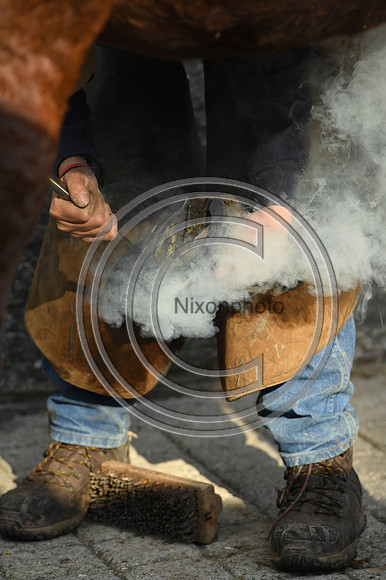 Nigel Perrott_Farrier_PN20_51883